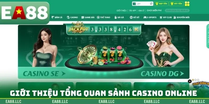 Giới thiệu tổng quan sảnh casino online